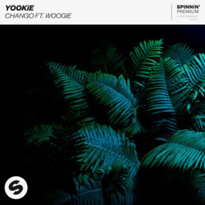 ดาวน์โหลดและฟังเพลง Chango (feat. Woogie) พร้อมเนื้อเพลงจาก YOOKiE