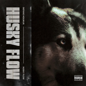ดาวน์โหลดและฟังเพลง Husky Flow พร้อมเนื้อเพลงจาก Défano Holwijn