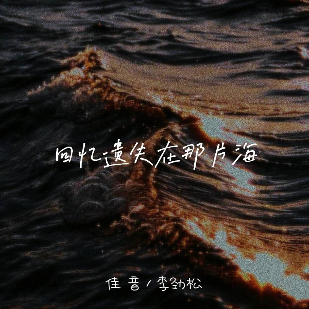 回忆遗失在那片海 (卡点DJ版)