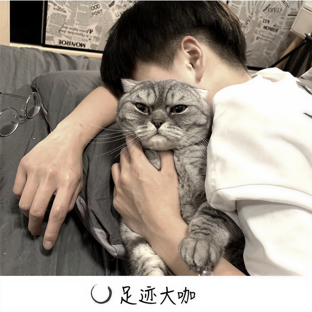 经典电摇版
