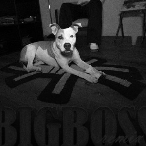 Album Big Boss (Remix) (Explicit) from Davus