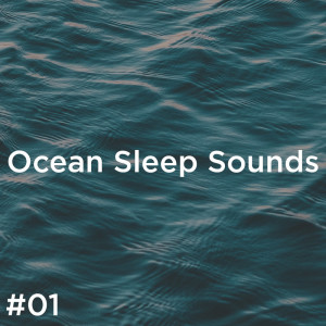 收听Ocean Sounds的Calm Ocean歌词歌曲