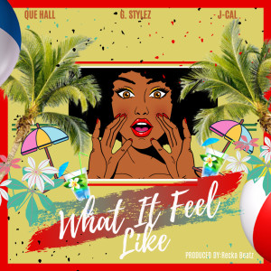 ดาวน์โหลดและฟังเพลง What It Feel Like (Explicit) พร้อมเนื้อเพลงจาก Que Hall