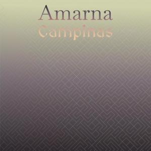 Album Amarna Campinas oleh Various