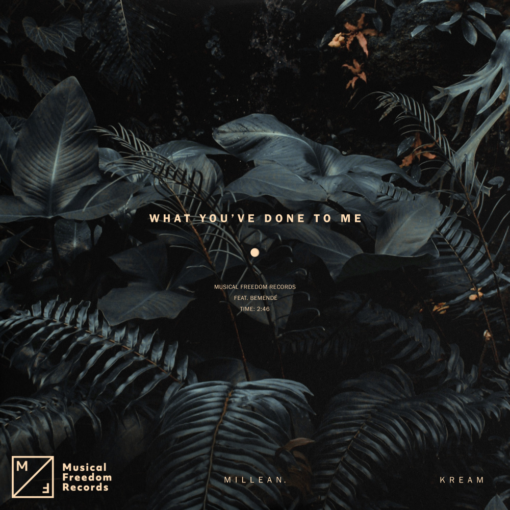 What You've Done To Me (feat. Bemendé) (Extended Mix)