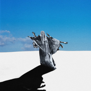 收聽Sheldon的Focus (Explicit)歌詞歌曲