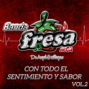 Album Con Todo El Sentimiento Y Sabor, Vol.2 from Banda Fresa Roja