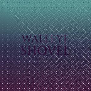 Album Walleye Shovel from Various
