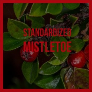 Various的专辑Standardized Mistletoe