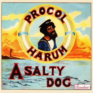 A Salty Dog