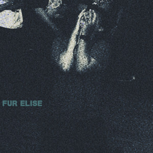 Fur Elise的專輯Hate