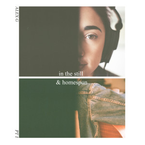 Listen to Beautiful Lady song with lyrics from Alex G