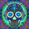 default album img