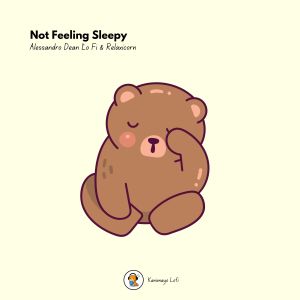 收听Alessandro Dean Lo Fi的Not Feeling Sleepy歌词歌曲