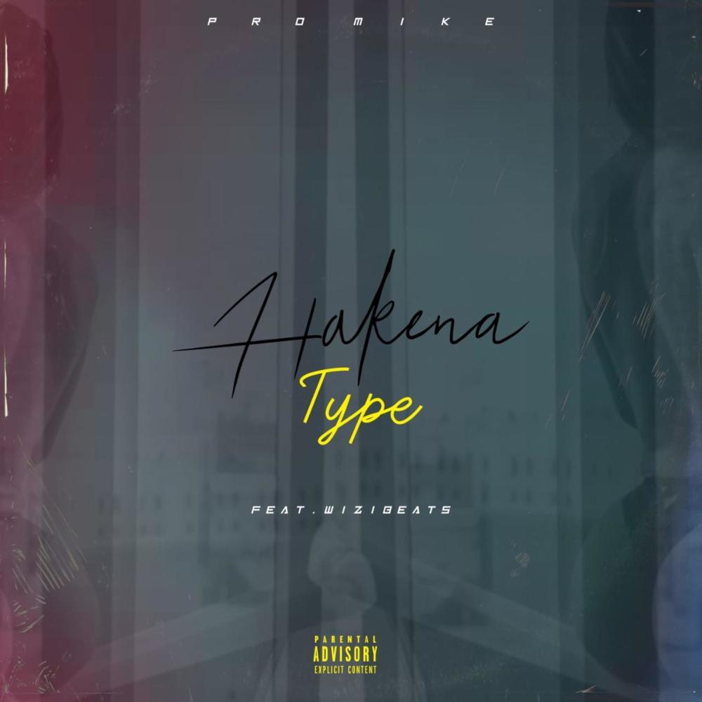 Hakena Type(feat. Wizibeatz)