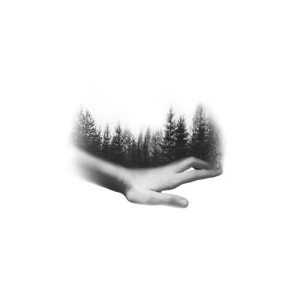 Album November from Allen Constantine