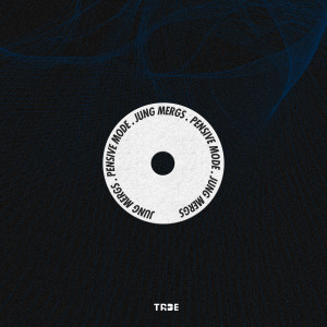 Album Pensive Mode (Explicit) from Jung Mergs