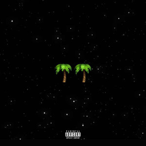 Album Palmwine Music 2 (Explicit) from Show Dem Camp