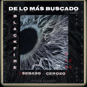 อัลบัม DE LO MÁS BUSCADO (feat. Black Fire) (Explicit) ศิลปิน Black Fire