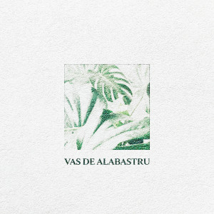 Album Vas De Alabastru from 477