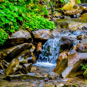 Soothing Streamside Retreat: Chill Music Water's Flow