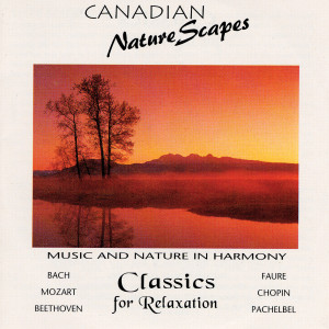 ดาวน์โหลดและฟังเพลง Clarinet Concerto In A Major พร้อมเนื้อเพลงจาก Wolfgang Amadeus Mozart
