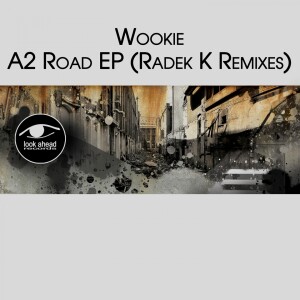 ดาวน์โหลดและฟังเพลง Mbir (Radek K Remix) พร้อมเนื้อเพลงจาก Wookie