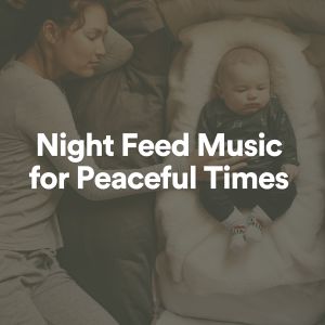 Album Night Feed Music for Peaceful Times oleh Baby Sleeping Music