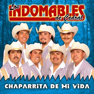 ดาวน์โหลดและฟังเพลง Huapango de Juanito พร้อมเนื้อเพลงจาก Los Indomables de Cedral