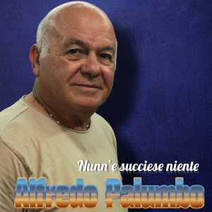 Listen to Nunn'E Succiese Niente song with lyrics from Alfredo Palumbo