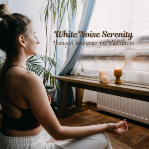 Enjoyable White Noise的專輯White Noise Serenity: Tranquil Ambiance for Meditation