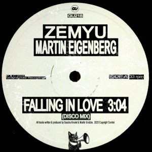 Listen to Falling In Love (Disco Mix) song with lyrics from Zemyu