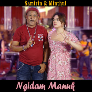 Dengarkan Ngidam Manuk lagu dari samirin dengan lirik