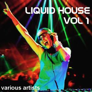 Various Artists的專輯Liquid House Vol 1