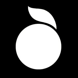 收聽Iggy Pop的Rock Action歌詞歌曲