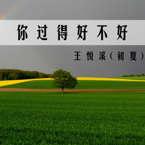Listen to 你过得好不好 (伴奏) song with lyrics from 王悦溪(初夏)
