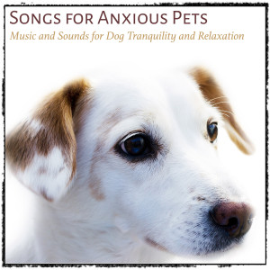 Album Songs for Anxious Pets: Music and Sounds for Dog Tranquility and Relaxation oleh Relax My Puppy