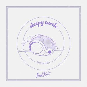 ดาวน์โหลดและฟังเพลง better days พร้อมเนื้อเพลงจาก Sleepy Turtle
