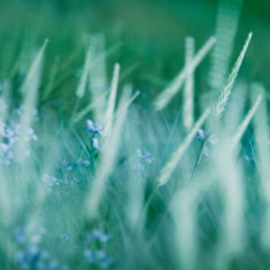 Album Until We See Again from Mora Alfmarsson