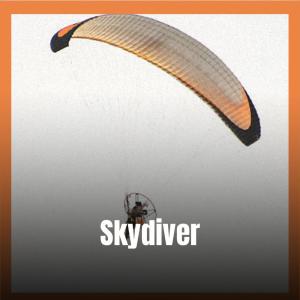 Album Skydiver from Various