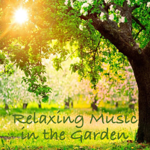 Listen to Breath Of Wind song with lyrics from Levantis