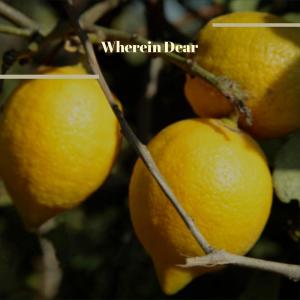 Listen to Relieve Aught song with lyrics from Wina Cleu