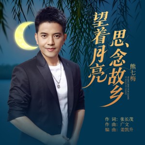 Album 望着月亮思念故乡 from 张长茂
