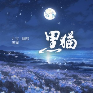 Listen to 黑猫 (伴奏) song with lyrics from 九宝Zerone