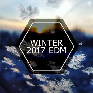 TheDiabolicalWaffle的專輯Winter 2017 EDM