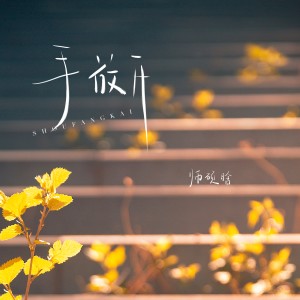 อัลบัม 手放开 ศิลปิน 师硕晗