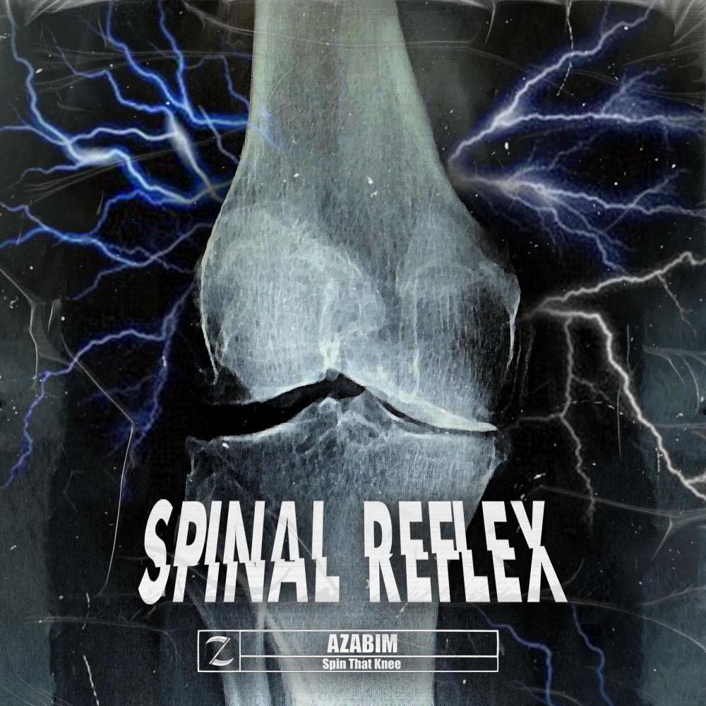 Spinal Reflex
