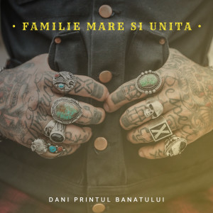 Listen to Familie Mare Si Unita song with lyrics from Dani Printul Banatului