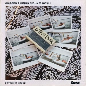 อัลบัม True Lover (feat. Nathan Croma) (Revelries Remix) ศิลปิน Goldbird