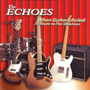 收聽The Echoes的Geronomo歌詞歌曲